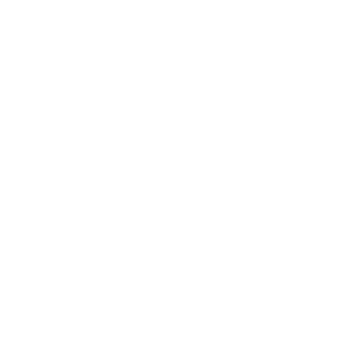 SheSwings and HeSwings